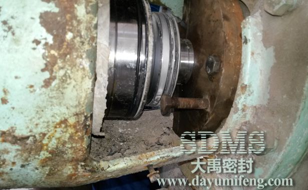 運轉(zhuǎn)中的大禹AEB機械密封